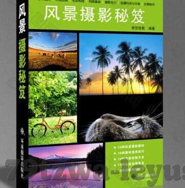 探索完美最新网站，开启数字世界新篇章